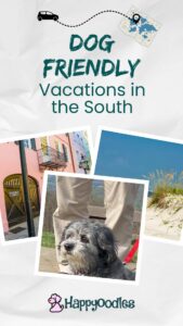 Pinterest pin - Title on page Dog Friendly Vacation in The South. White background with three photos. one of a beach, one of colorful houses and one of a gray dog with a person standing behind them. Happyoodles.com