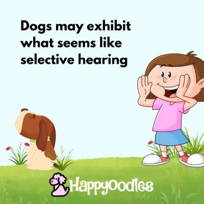 Title " Dogs may exhibit what seems like selective hearing" with a cartoon picture of a girl calling a dog outside and the dog looking away.