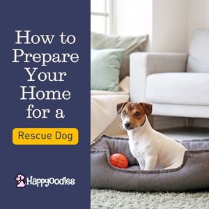 Title "How to Prepare Your Home for a Rescue Dog." on a navy blue background along side a picture of a small dog in a dog bed in front of a white couch.
