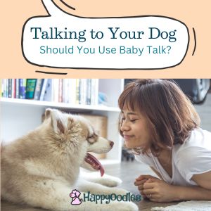 Title "Talking to your dog: Should you use baby talk? " Picture with a women and a dog looking eye to eye.