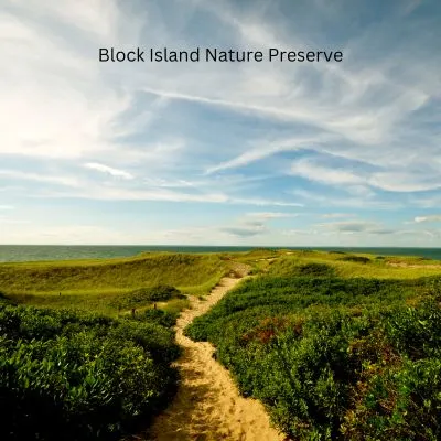 From Canva Pro - Block Island Nature Preserve