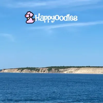 Photo by Happyoodles.com - View of Block Island from Ferry