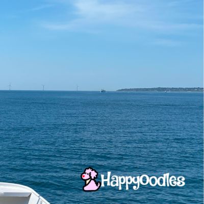 Photo by Happyoodles.com - View of Block Island from Ferry