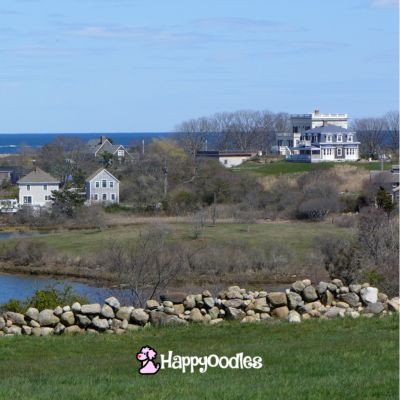 From Canva Pro - Block Island view of homes
