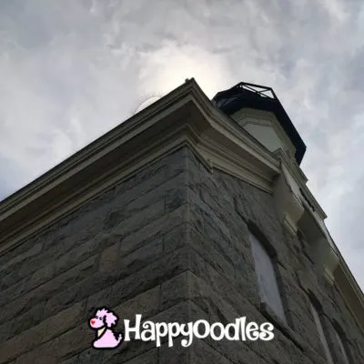 Photo by Happyoodles.com - View of North Light on Block Island