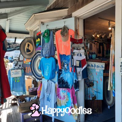 Photo by Happyoodles.com - Shop on Block Island