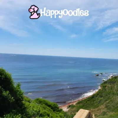 Photo by Happyoodles.com - View of ocean from Mohegan Bluffs on Block Island with logo