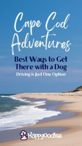 Happyoodles.com - Title "Cape Cod Bound - Best ways to get there with a dog (Hint: Driving is just one option.)" Picture of Cape cod Beach and dunes with logo. Pinterest