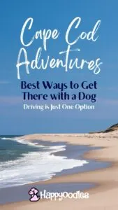 Happyoodles.com - Title "Cape Cod Bound - Best ways to get there with a dog (Hint: Driving is just one option.)" Picture of Cape cod Beach and dunes with logo. Pinterest