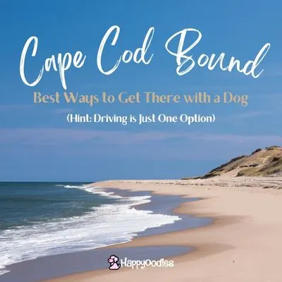 Happyoodles.com - Title "Cape Cod Bound - Best ways to get there with a dog (Hint: Driving is just one option.)" Picture of Cape cod Beach and dunes with logo.