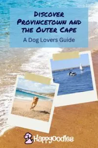 Title - Discover Dog-Friendly Provincetown and the Outer Cape. Background picture of a beach with a smaller photo of dunes and the water with boats.
