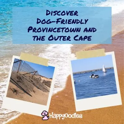 Title - Discover Dog-Friendly Provincetown and the Outer Cape. Background picture of a beach with a smaller photo of dunes and the water with boats.