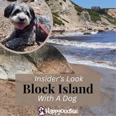 Photo by Happyoodles.com - Title "Insider’s Look: Block Island with a Dog" picture of the bluffs on Block Island with insert of a small gray dog
