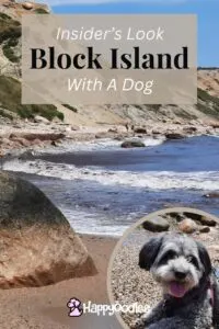 Photo by Happyoodles.com - Title "Insider’s Look: Block Island with a Dog" picture of the bluffs on Block Island with insert of a small gray dog - Pinterest