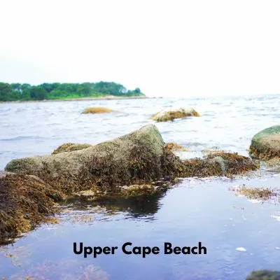 Title "Upper Cape Cod" Picture of tide pools and rocks.