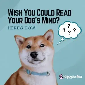 Post title pic - "Wish you could read your dog's Mind? Here's how!" With a picture of a dog and a speech bubble with question marks inside.