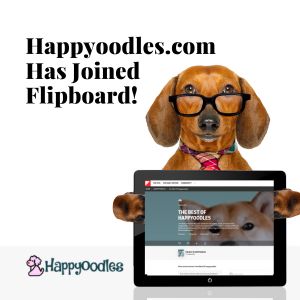 Happyoodles.com Has Joined Flipboard with picture of a dog holding a tablet with an image of the Happyoodles Flipboard page.