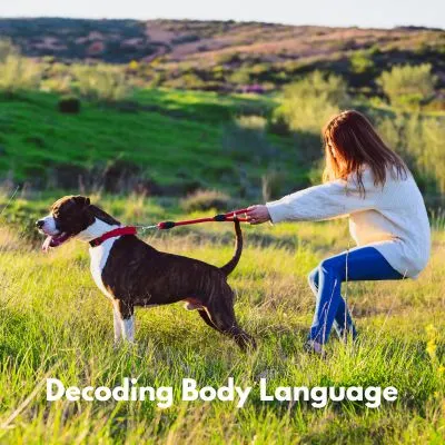 Picture of a women being pulled by a dog n a open field with the words "Decoding Body Language"