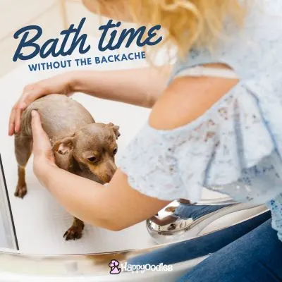 Title: Bath time with out the Backache picture of woman leaning over a dog washing them in a compact shower.