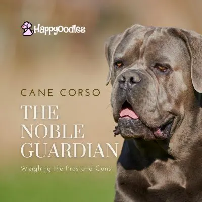 Happyoodles.com - title: Cane Corso: The Noble Guardian - Weighing the Pros and Cons; with picture of a Cane Corso closeup.