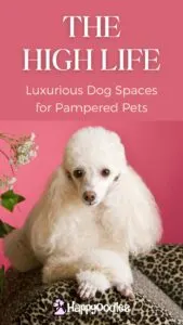 Happyoodles.com title - The High Life - Luxurious Dog Spaces for Pampered Pets - White poodle laying on leopard patterned couch with paws crossed in front. The background is dark pink with white flowers off to the side.