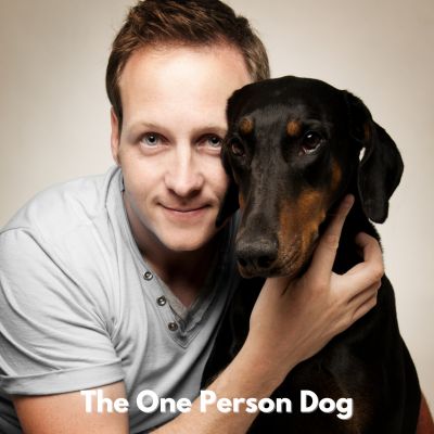 Happyoodles.com - Title: One person dog - man holding a Doberman Pinscher.