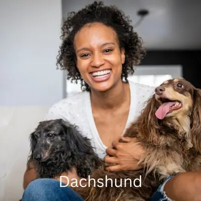 Happyoodles.com One person dog - Woman of holding two Dachshunds