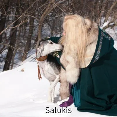 Happyoodles.com One person dog - woman holding a Salukis.