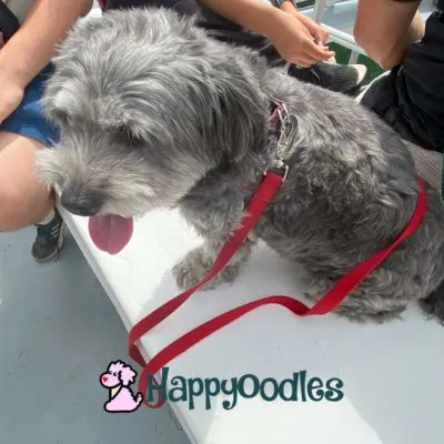 Bella sitting on her own on Cap'n Fish's Boat