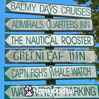 Dog-Friendly Whale Watching - Direction Sign in Boothbay Harbor