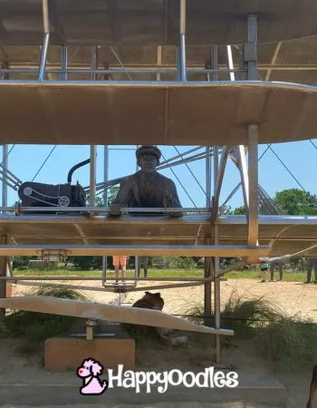 1903 Wright Flyer - Wright Brothers National Memorial