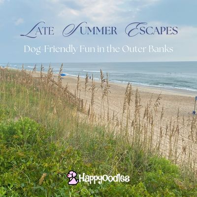 Happyoodles.com title picture 