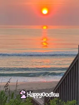 Happyoodles.com Sunrise on the Kill Devil Hills Dunes, NC