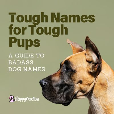 Happyoodles.com Tough Names for Tough Pups; A guide to badass dog names Pic of a great Dane on green background