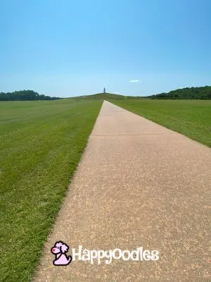 Wright Brothers Memorial - Long Path