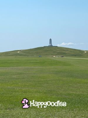 Visiting the Wright Brothers Monument in NC with a dog- Monument in the distance - Happyoodles logo.