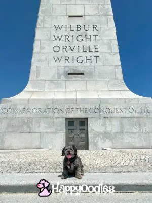 Visiting to the outer banks, NC - Wright Brothers Monument with Bella in front.