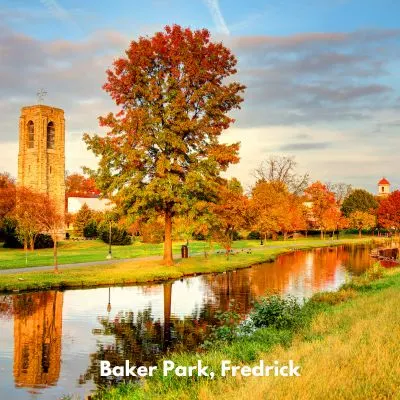 Discover Maryland's Hidden Gem for Fall Foliage - Baker Park with the Joseph Dill Baker Carillon bell tower in the background.