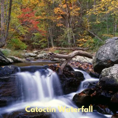 Discover Maryland's Hidden Gem for Fall Foliage - Catoctin Waterfall