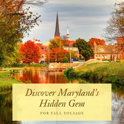 Discover Maryland's Hidden Gem for Fall Foliage - Picture of downtown Fredrick, Maryland
