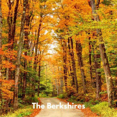 Happyoodles.com - Cozy Fall Retreats - Autumn Road in the Berkshires
