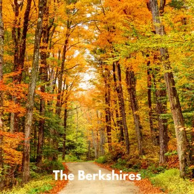 Happyoodles.com - Cozy Fall Retreats - Autumn Road in the Berkshires