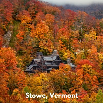  Cozy Fall Retreats - Dog Friendly New England Weekends Stowe, VT