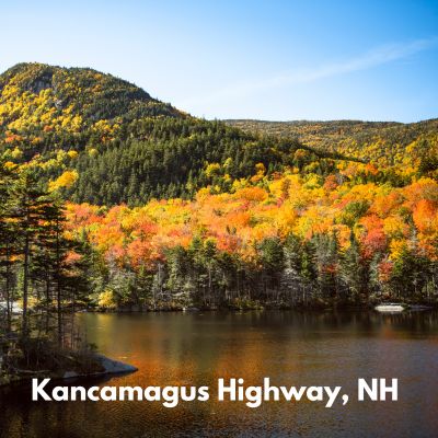 Beaver Pond along the Kancamagus Highway NH
