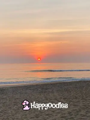 Happyoodles.com Sunrise on Kill Devil Hills Beach