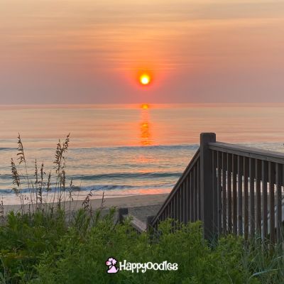 Happyoodles.com - Sunrise over the stairs in KDH, NC