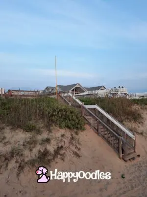 Happyoodles.com TownPlace Suites KDH - stairs over the dune