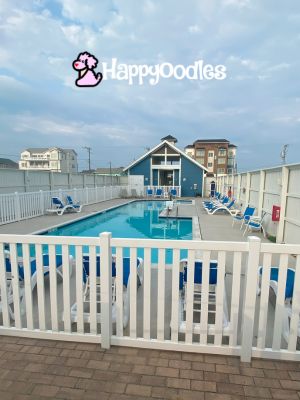 Happyoodles.com - TownePlace Suites Outside Pool