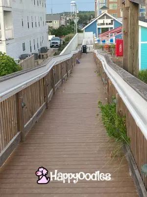 Happyoodles.com - TownePlace Suites Ramp to the Beach