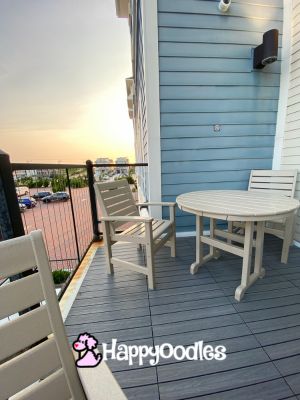Happyoodles.com - Towneplace Suites KDH - dining balcony